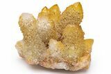Sunshine Cactus Quartz Crystal Cluster - South Africa #217972-1